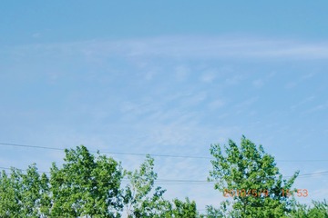 1071628