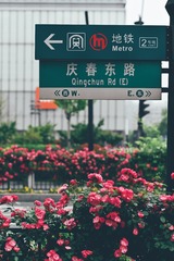 8948CBF8-2BA4-454D-80E6-B893D43EEE5D/L0/001