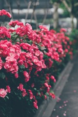 7E3E9AC5-1B9F-4D08-A0FC-0C9E255F5FF1/L0/001