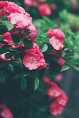 2B873794-DB7D-4BC6-9E19-78B8CD034FAA/L0/001