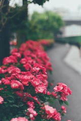 E58E43E6-5158-452C-BD7D-358B61771765/L0/001