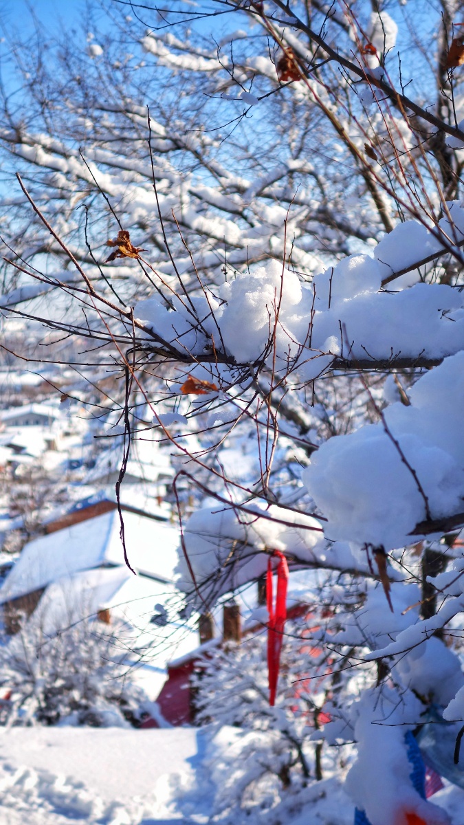 2018第一次拍雪景