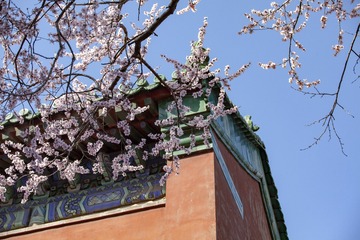 眼神