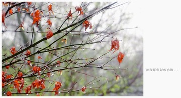DSCF1316.jpg