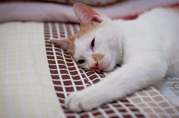20110826-DSC_0142.jpg