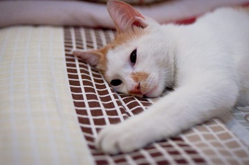 20110826-DSC_0143.jpg