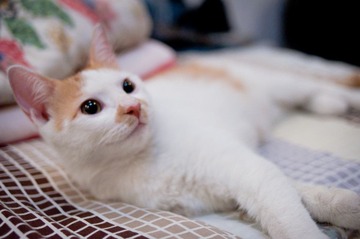 20110826-DSC_0150.jpg