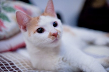20110826-DSC_0152.jpg