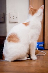 20110826-DSC_0159.jpg