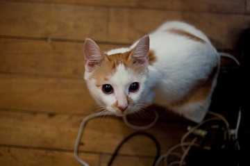 20110826-DSC_0162.jpg