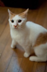 20110826-DSC_0173.jpg