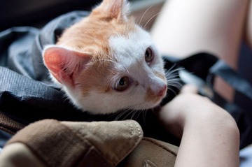 20110827-DSC_0210.jpg