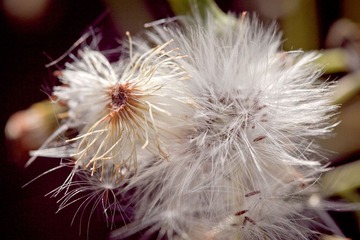 IMG_60101.jpg