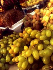 20091025258