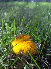 201010301738
