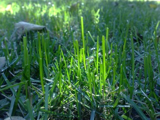 201010301744