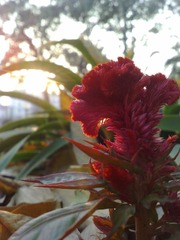 201011101808