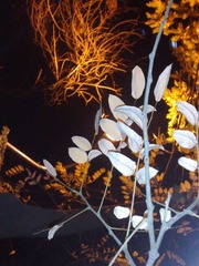201011101816