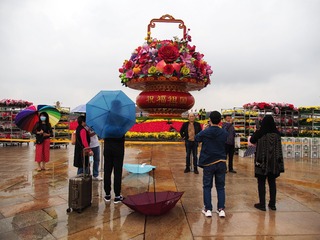 20100423656