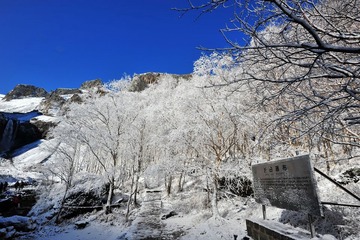 长白山瀑布  雾凇