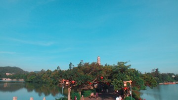 1202596