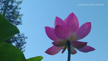 WP_000298
