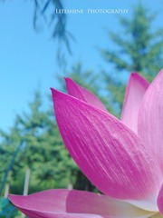 WP_000314