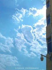 WP_000336