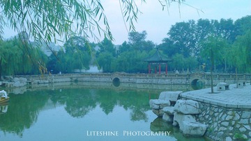 WP_000438