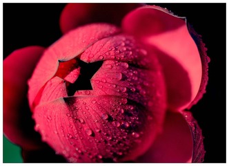 _DSC5201