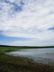 P8030256-1