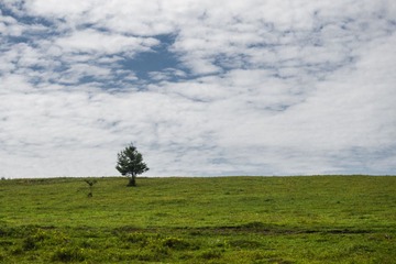 P8030257-1