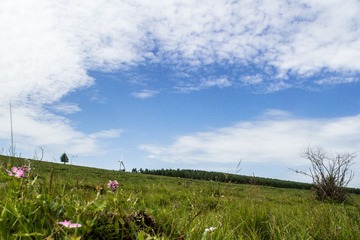 P8030270-1