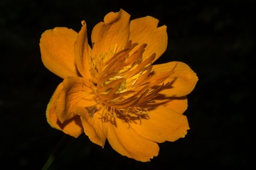 P8030276-1
