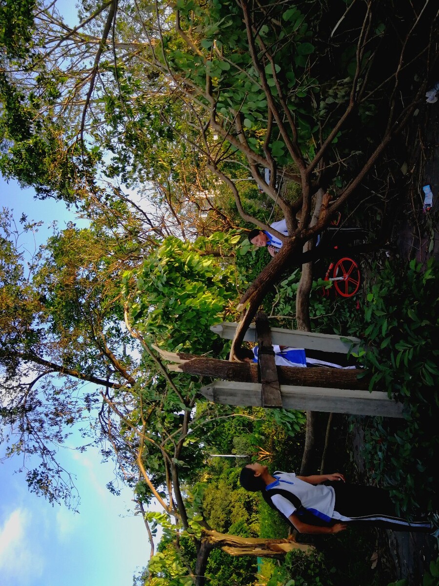 山竹过后