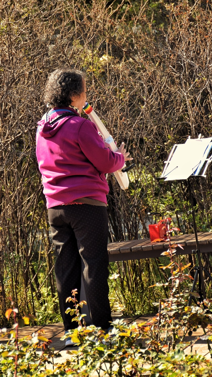 公园里演奏的退休大妈