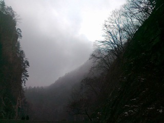 20111203429.jpg