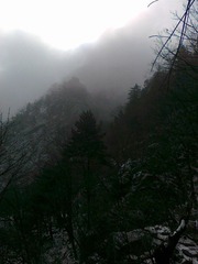 20111203452.jpg