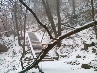 20111203456.jpg