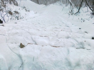20111203462.jpg
