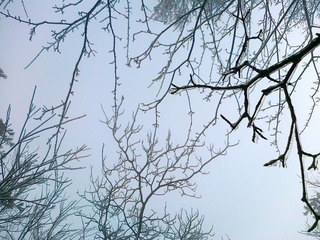20111203464.jpg