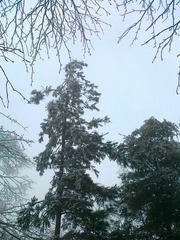 20111203470.jpg