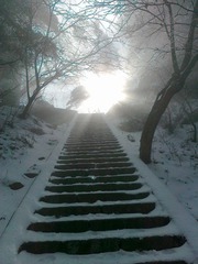 20111203475.jpg