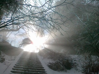 20111203476.jpg
