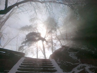 20111203477.jpg