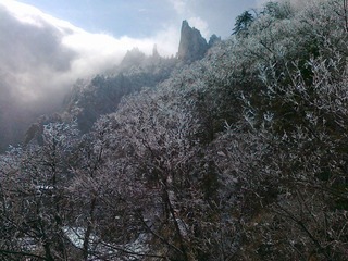 20111203487.jpg