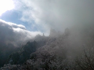 20111203491.jpg
