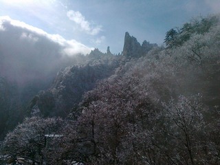 20111203495.jpg