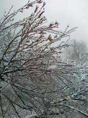 20111203507.jpg