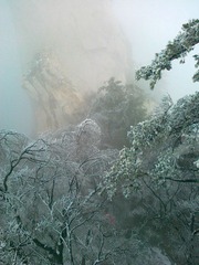 20111203508.jpg